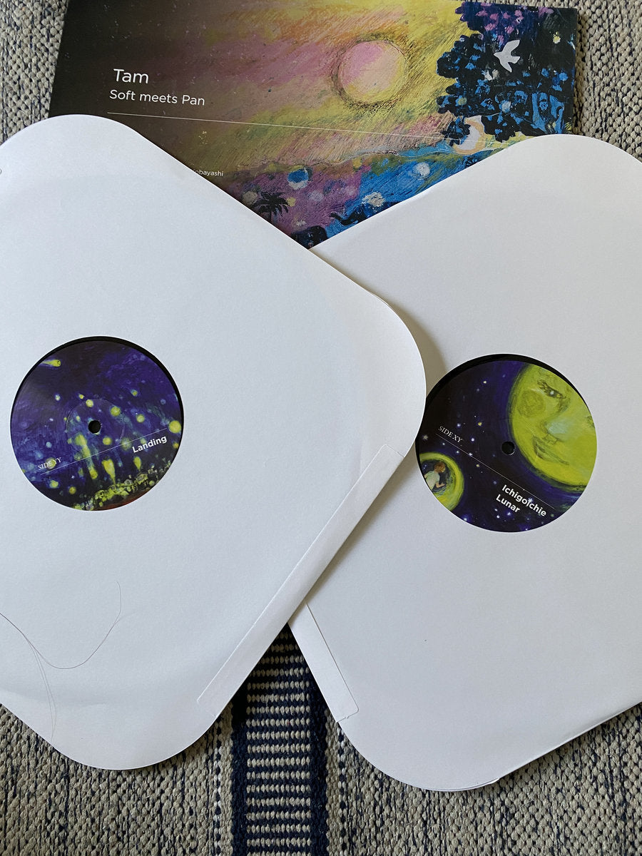 【再入荷/LP】SOFT meets PAN - TAM~Message to the Sun -2LP-