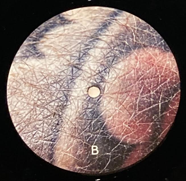 【USED】Neil Cowley Trio – Touch And Flee