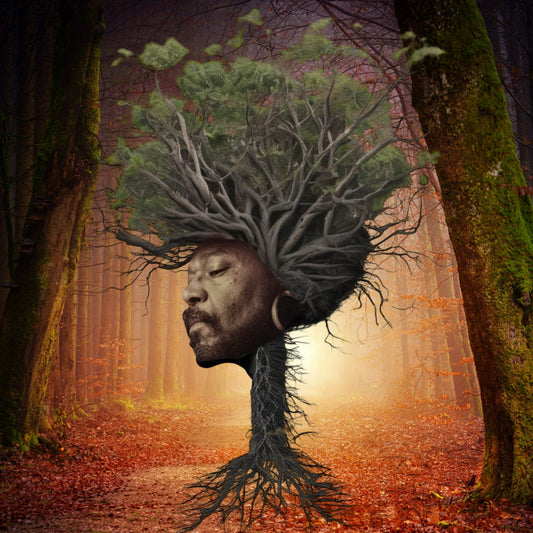 【LP】Osunlade - Inner Garden