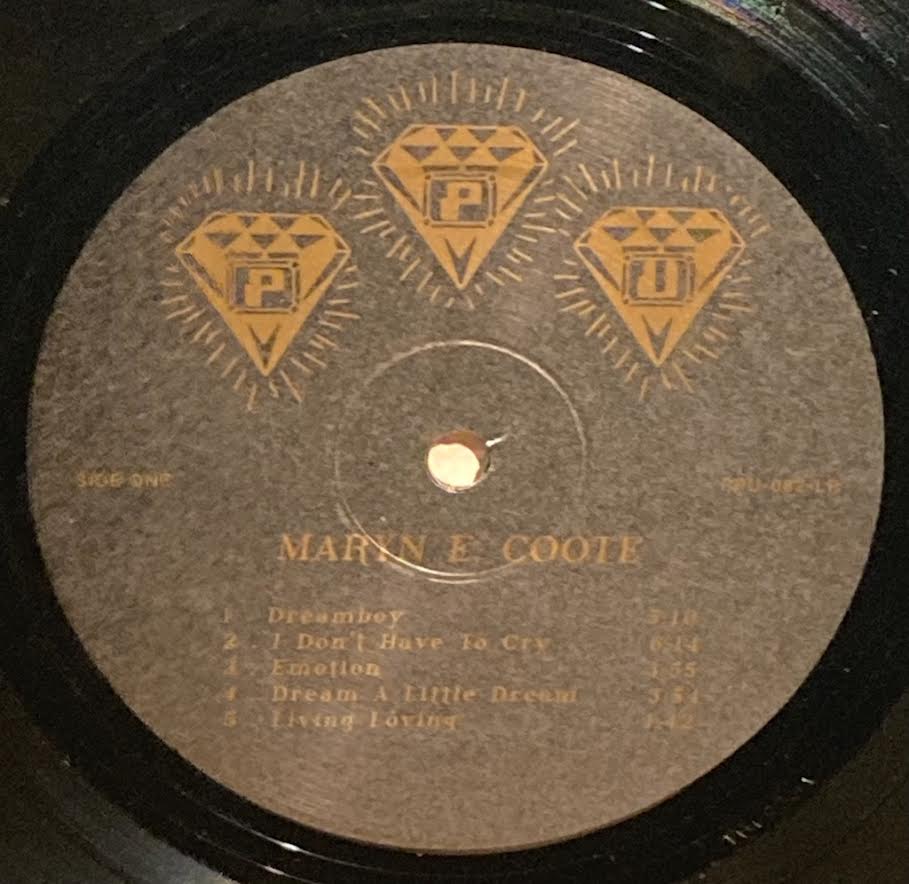 【USED】Maryn E. Coote - Maskeraad