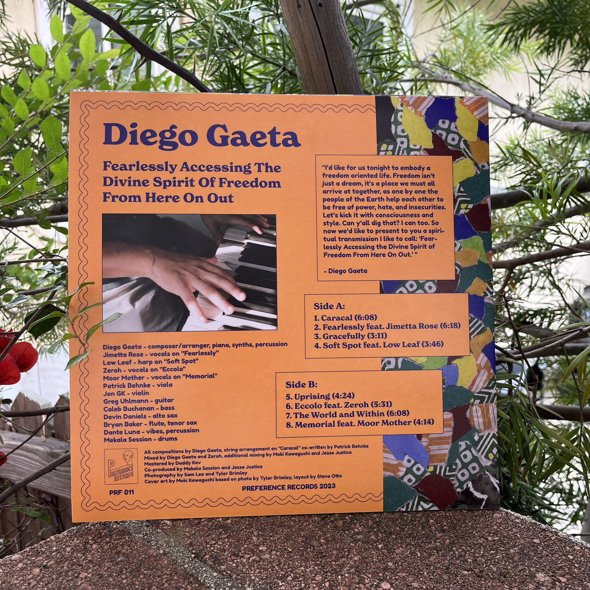 【LP】Diego Gaeta - Fearlessly Accessing The Divine Spirit Of Freedom From Here On Out