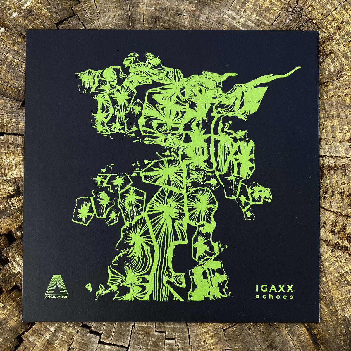 【12"】Igaxx - Echoes (inc. DL code)