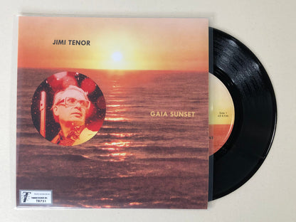 【7"】Jimi Tenor with Cold Diamond & Mink - Gaia Sunset