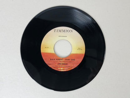 【7"】Jimi Tenor with Cold Diamond & Mink - Gaia Sunset