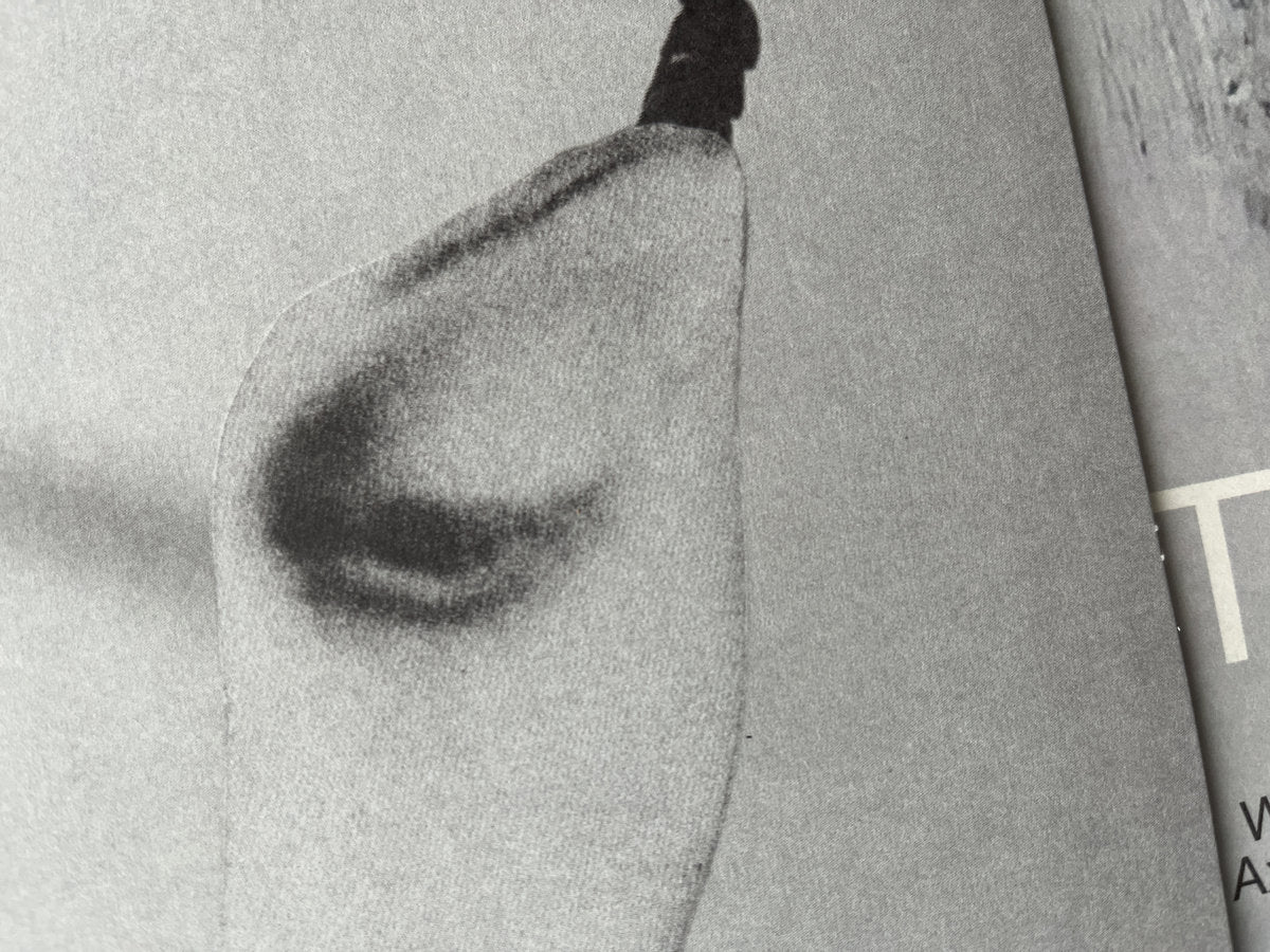 【LP】Tortoise - Touch