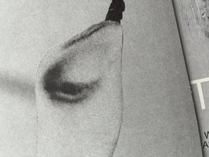 【LP】Tortoise - Touch