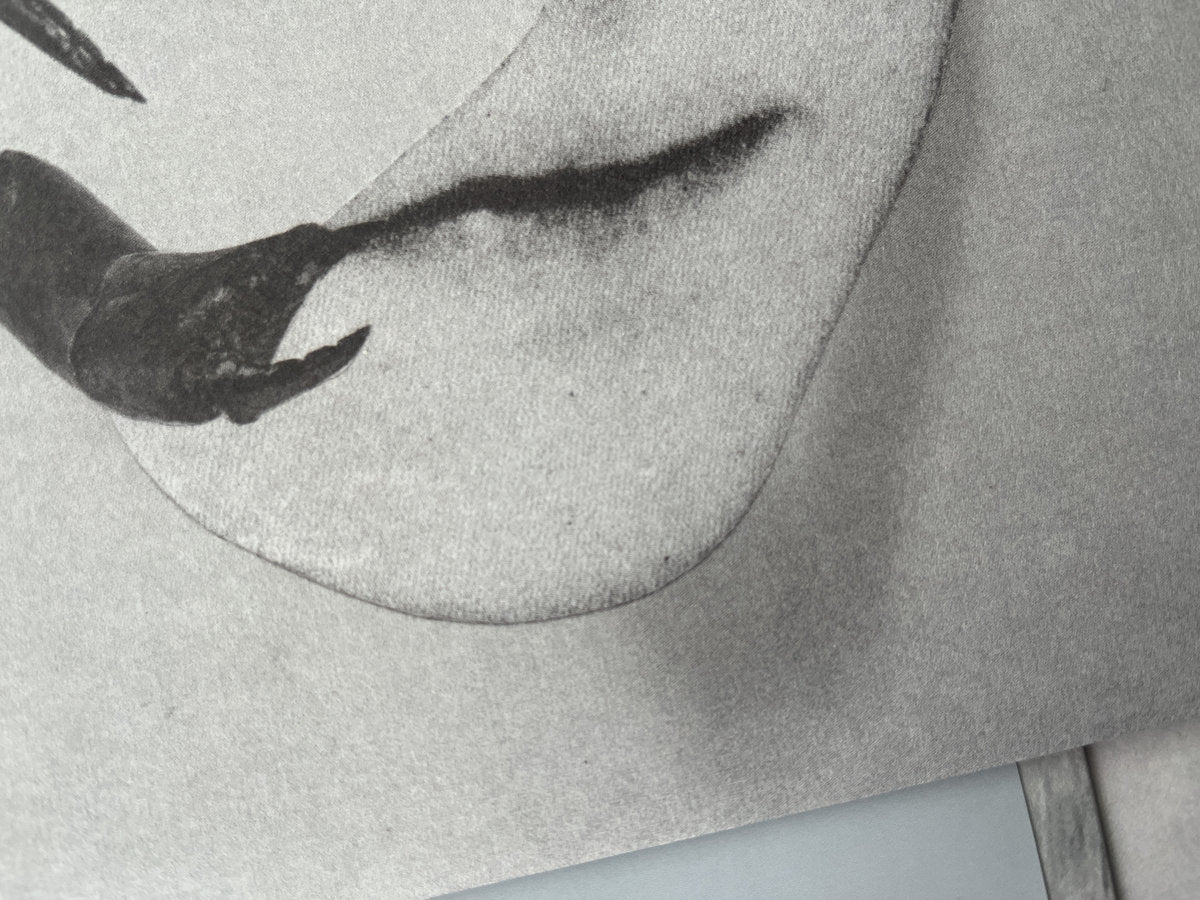 【LP】Tortoise - Touch