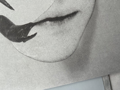 【LP】Tortoise - Touch