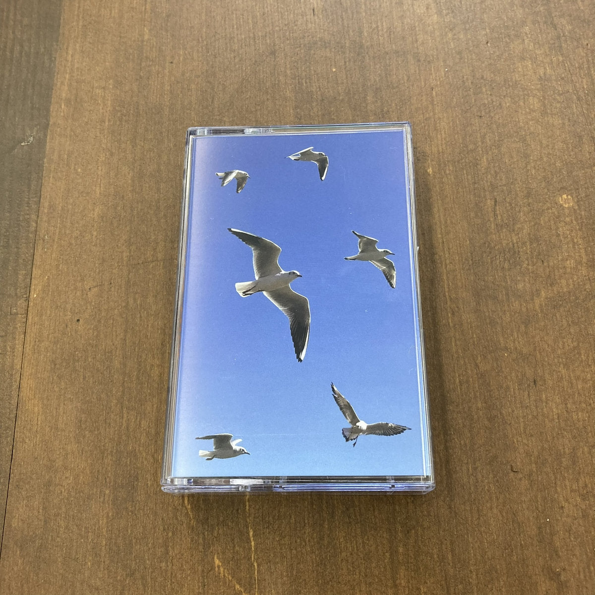 【CS】Cham - Hibi (+DL)