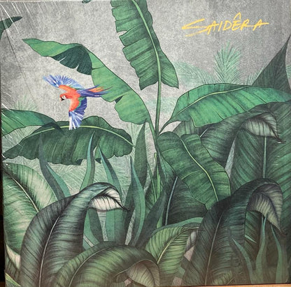 【USED】Saidera - Luzes Da Cicada