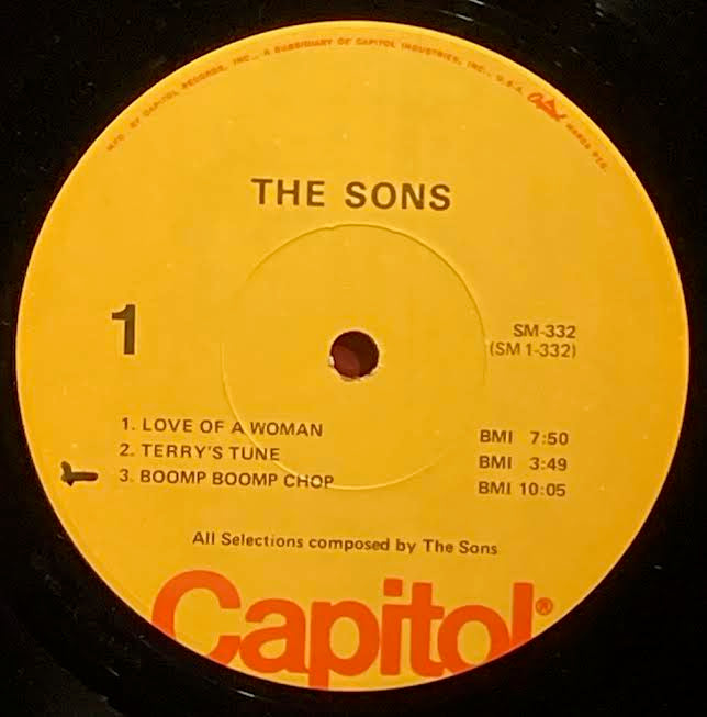 【USED】The Sons - The Sons