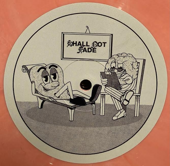 【USED】Laurence Guy – The Sun Is Warm And Directly Above You (Pink Vinyl)