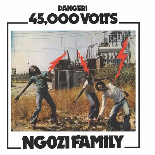 【LP】Ngozi Family - 45,000 Volts