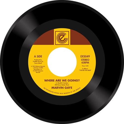 【7"】Marvin Gaye - Where Are We Going? / Woman Of The World