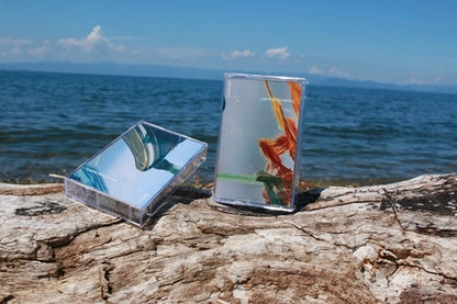 【CS】Yusuke Saint Laurent - everyday