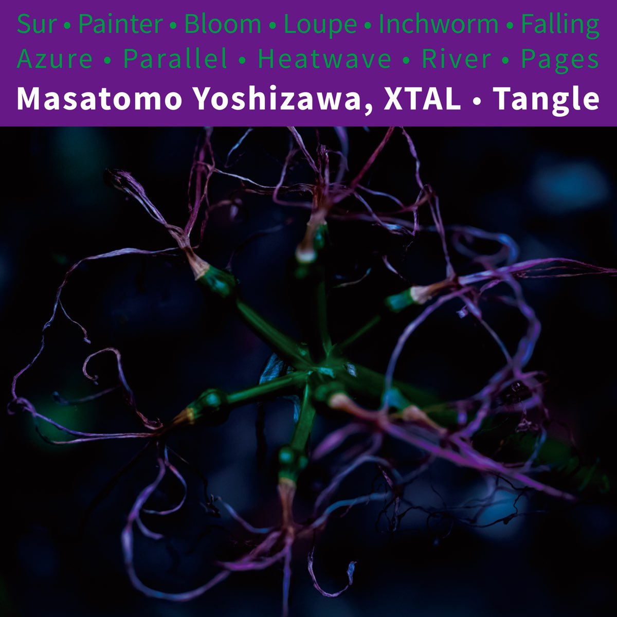 【CS】Masatomo Yoshizawa, XTAL - Tangle