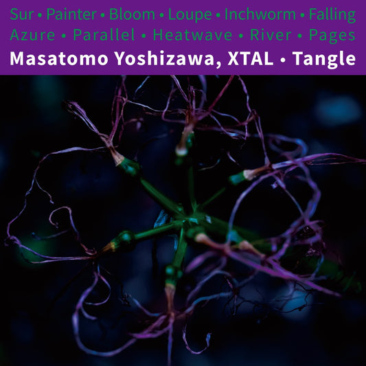 【CS】Masatomo Yoshizawa, XTAL - Tangle