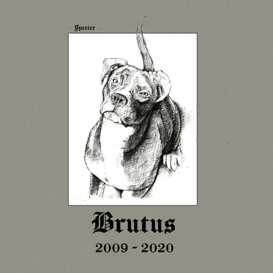 【CS】Specter - Brutus