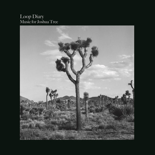 【LP】Loop Diary - Music for Joshua Tree