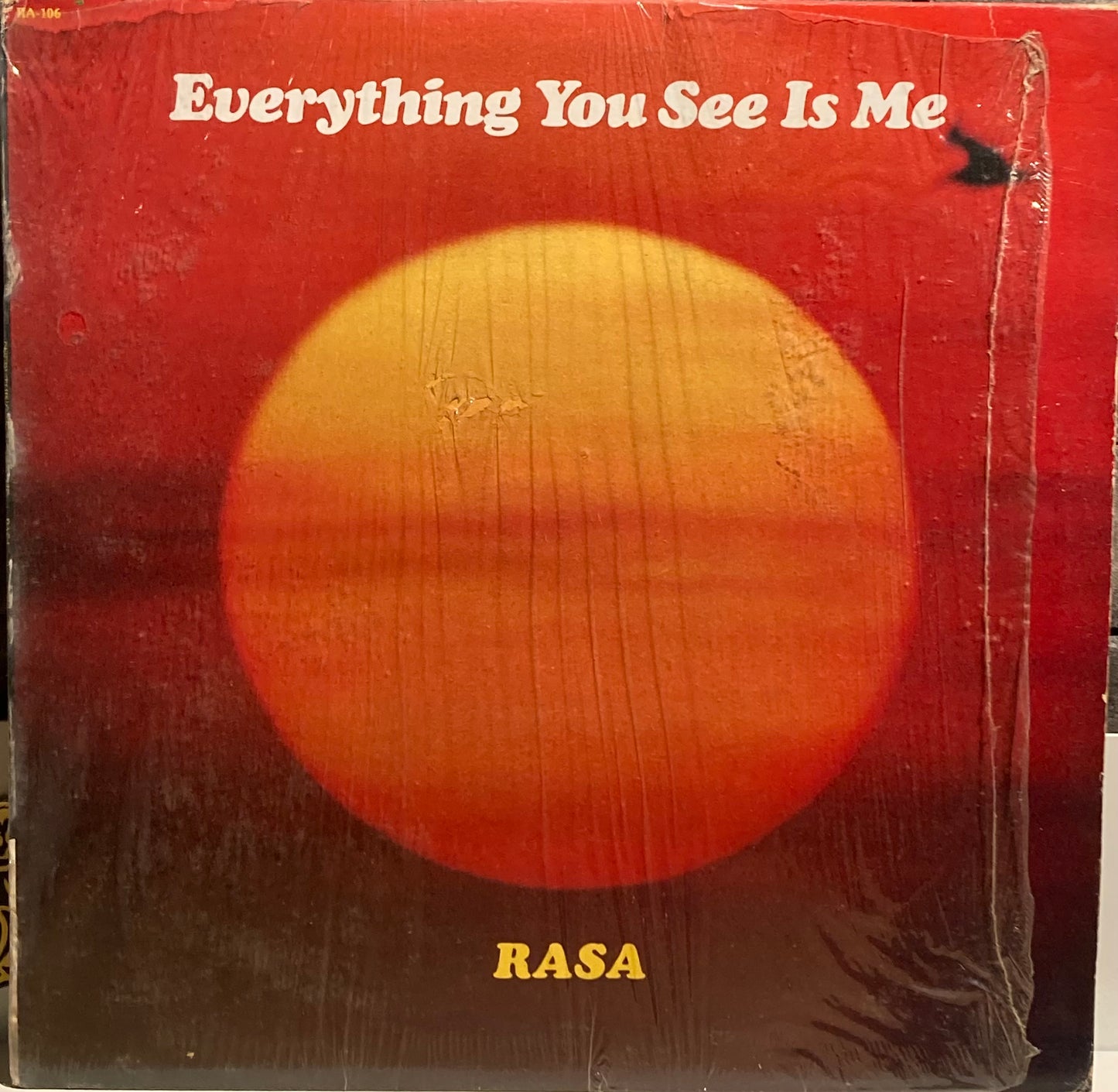 【USED】Rasa – Everything You See Is Me
