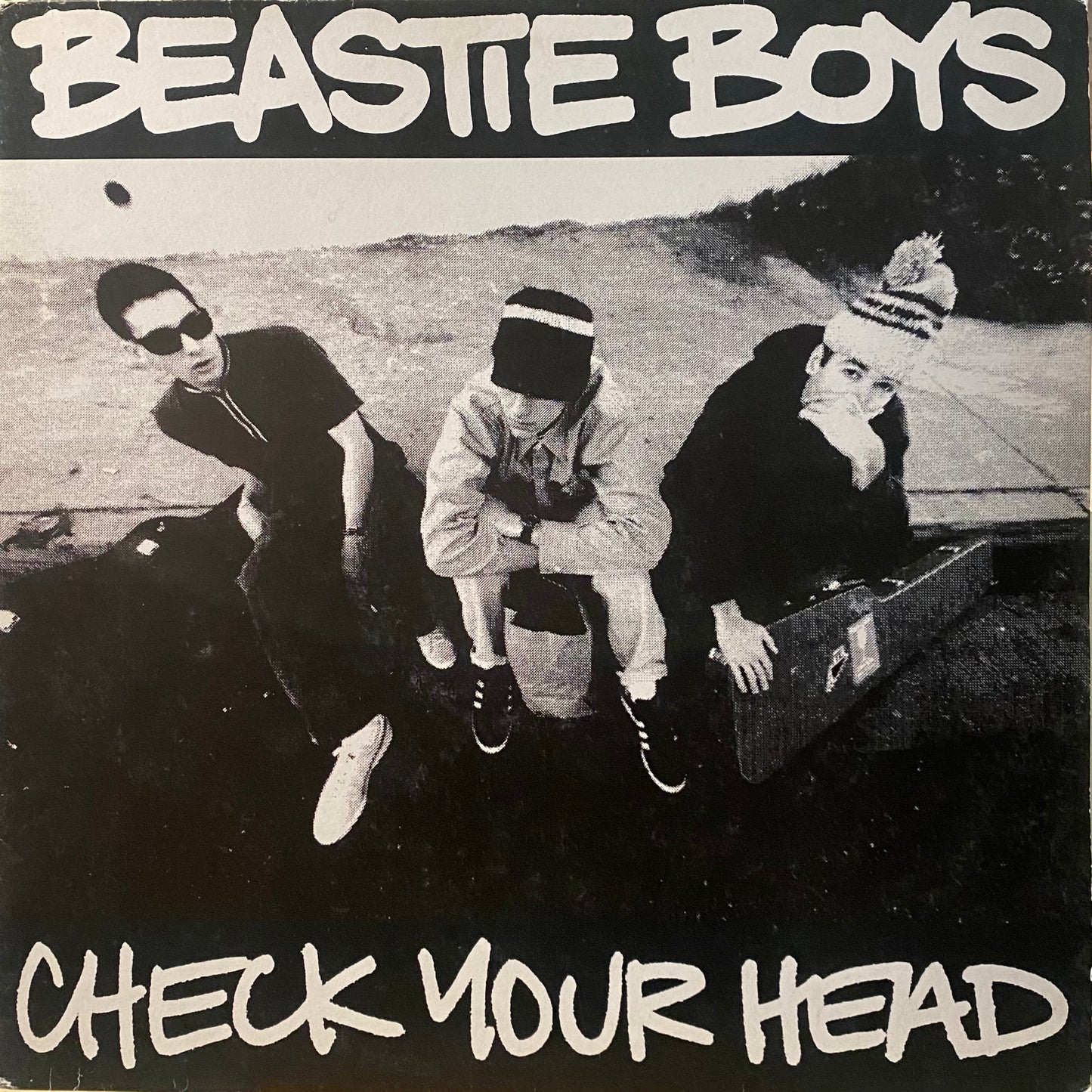 【USED】Beastie Boys - Check Your Head (2LP)
