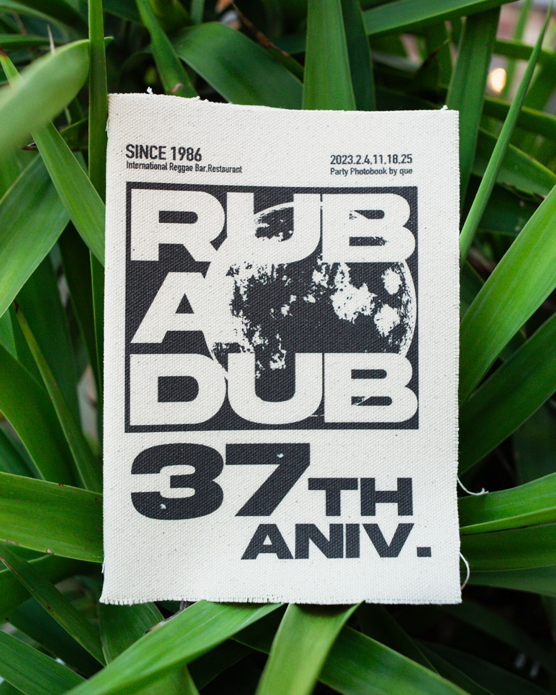 【NEW】Rub A Dub 37th Anniv. Photo Book by que