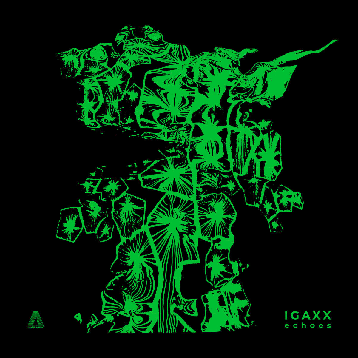 【12"】Igaxx - Echoes (inc. DL code)