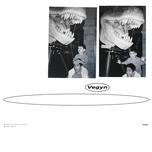 【LP】Vegyn - Only Diamonds Cut Diamonds(5th Anniversary Repres) -2LP-