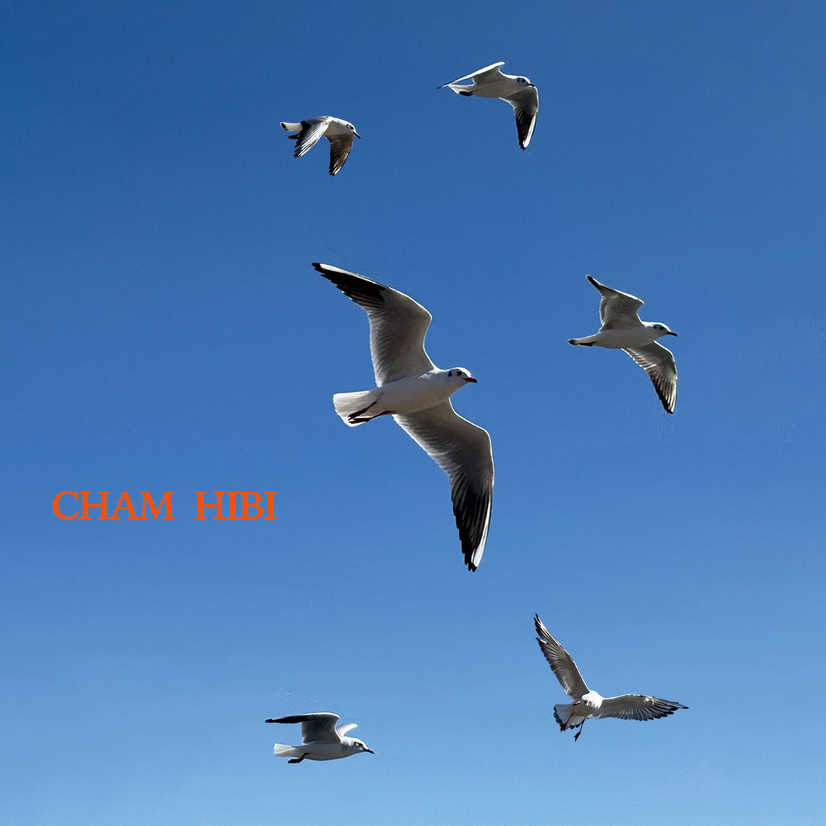 【CS】Cham - Hibi (+DL)