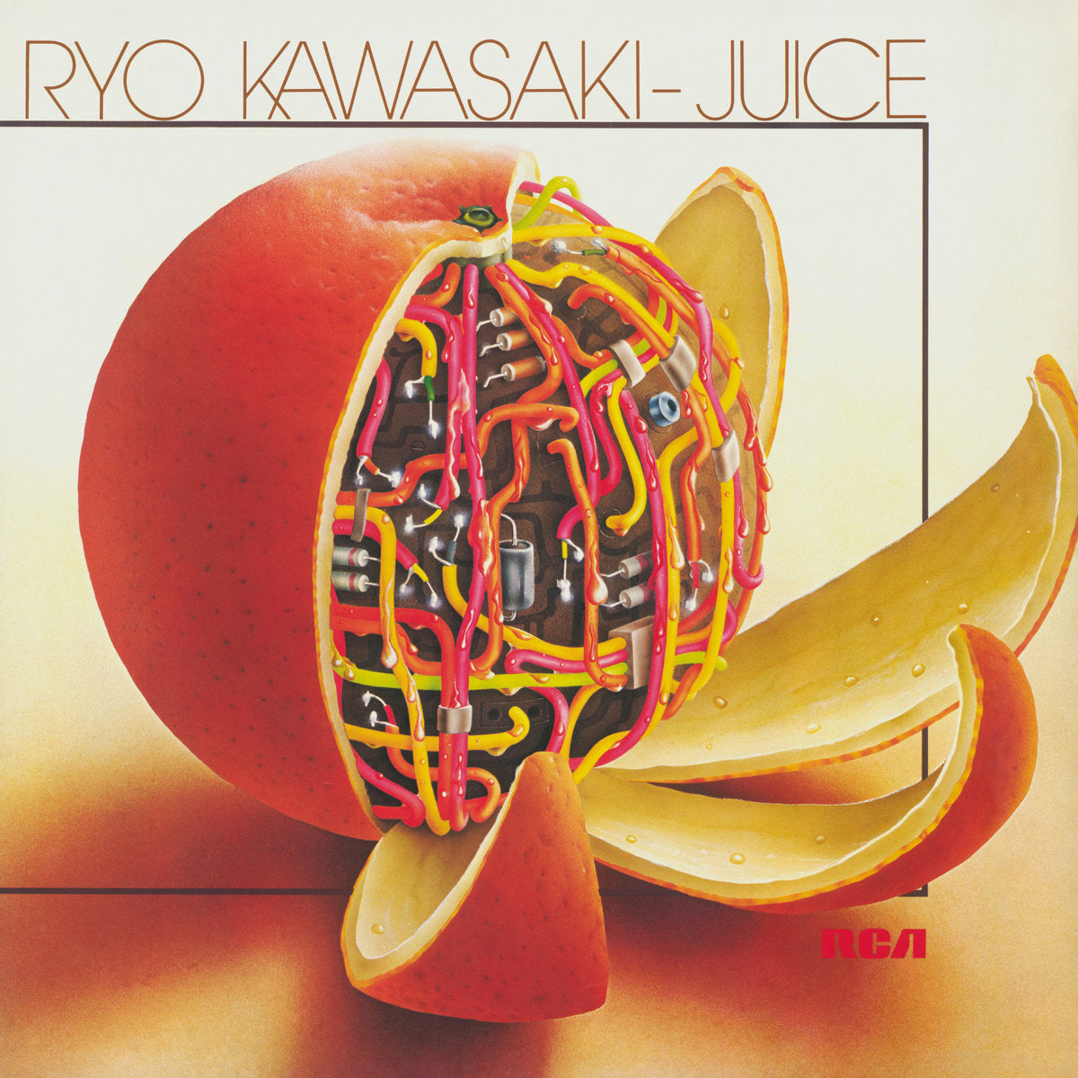 【LP】Ryo Kawasaki - Juice