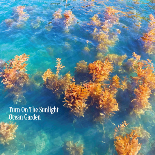 【LP】Turn On The Sunlight - Ocean Garden